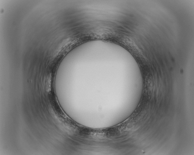 X0000088400694200706121235