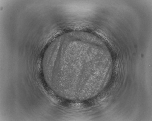 X0000088400695200706121235