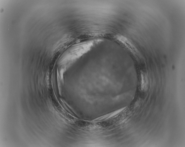 X0000088400696200706121235