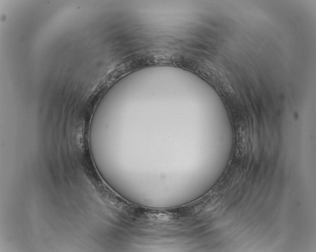 X0000088400698200706121235