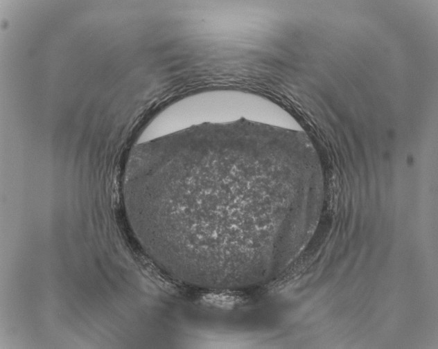 X0000088400699200706121235