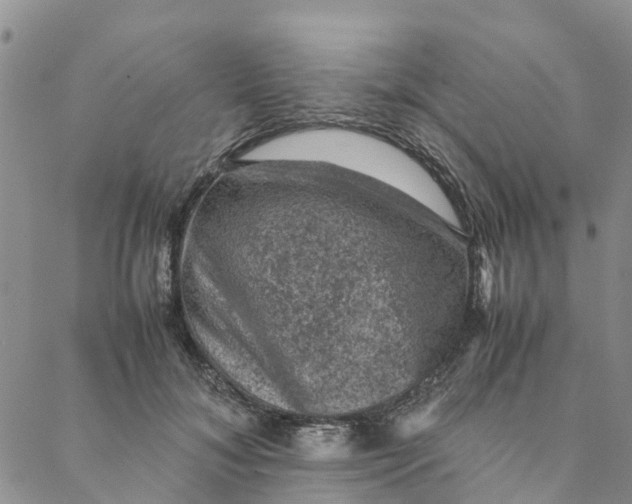 X0000088400700200706121235