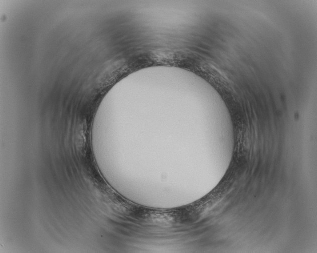 X0000088400702200706121235