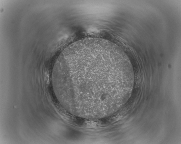 X0000088400703200706121235