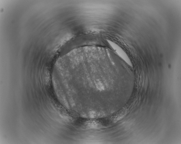 X0000088400704200706121235