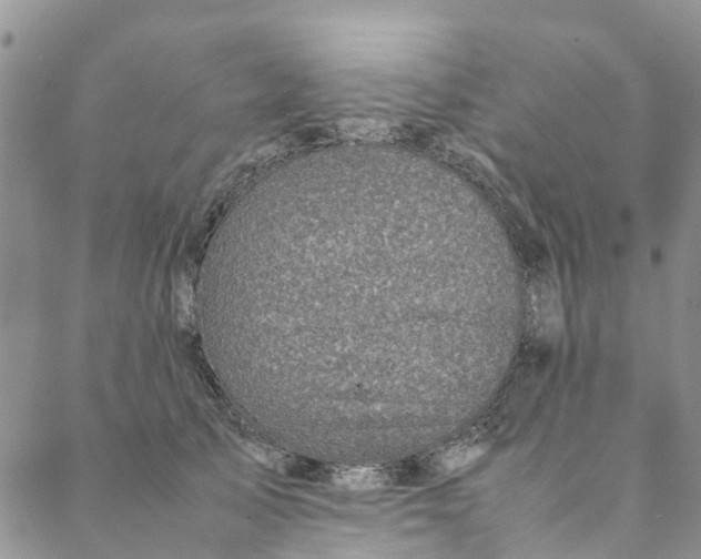 X0000088400705200706121235