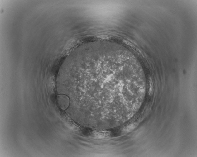 X0000088400707200706121235