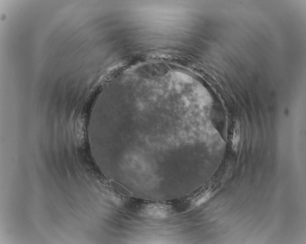 X0000088400708200706121235