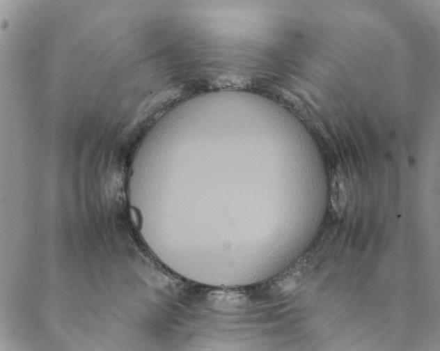 X0000088400714200706121235