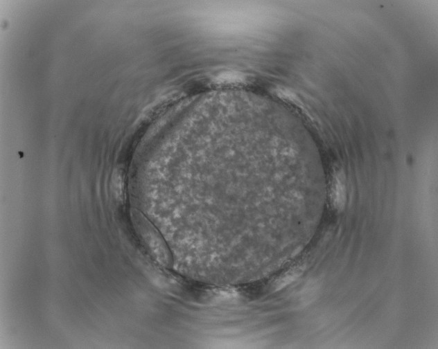 X0000088400715200706121235