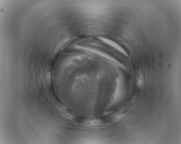 X0000088400716200706121235