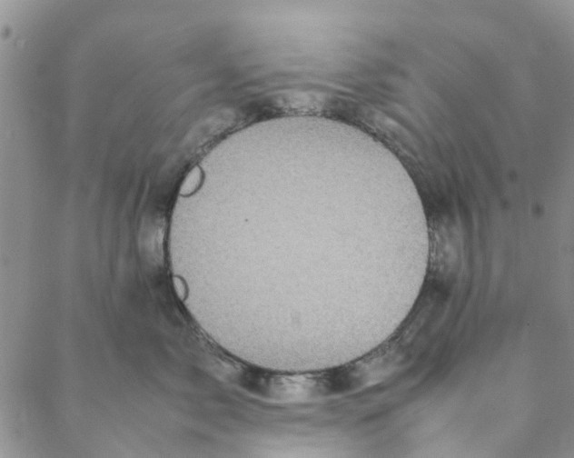 X0000088400717200706121235