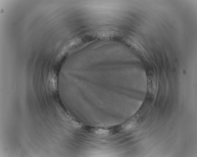 X0000088400718200706121235