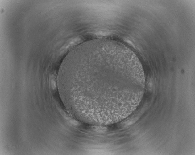 X0000088400719200706121235