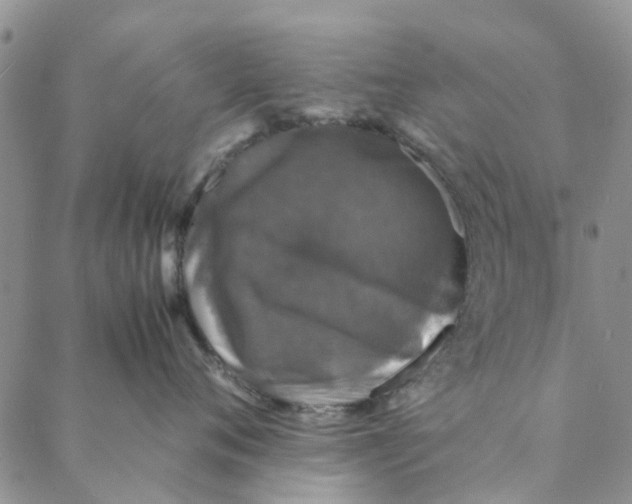 X0000088400720200706121235