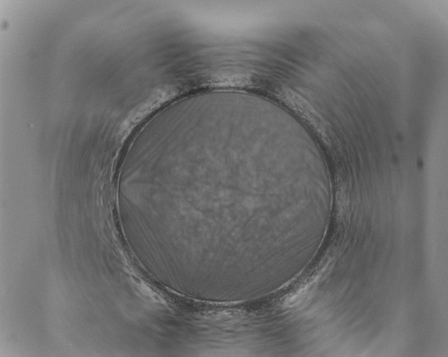 X0000088400721200706121234