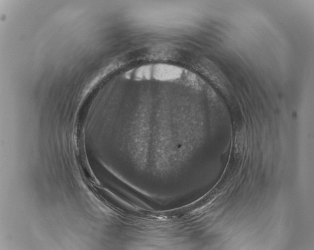 X0000088400722200706121234