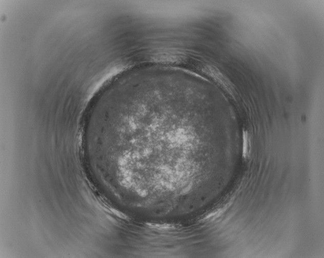 X0000088400723200706121234