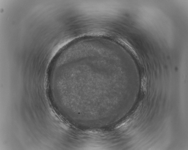 X0000088400724200706121234