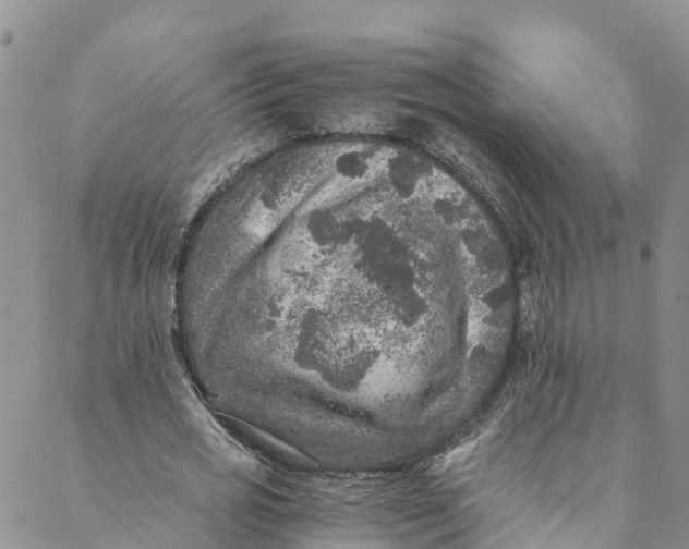 X0000088400725200706121234