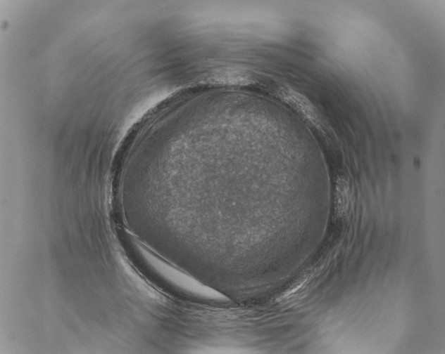 X0000088400726200706121234