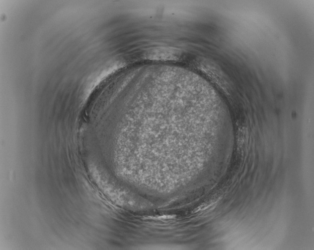 X0000088400727200706121234