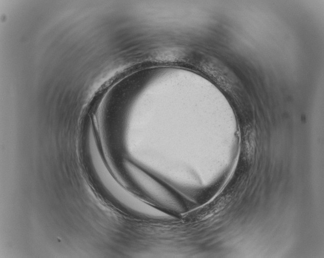 X0000088400728200706121234