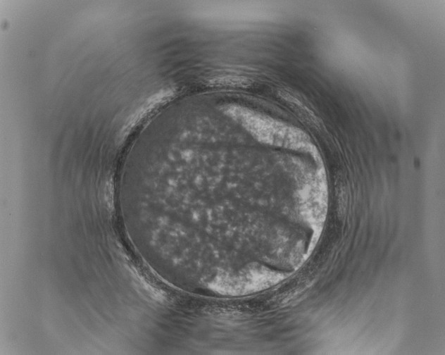 X0000088400729200706121234