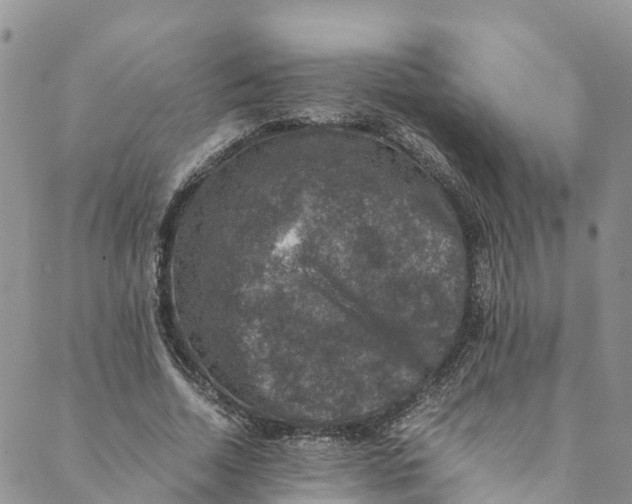 X0000088400730200706121234