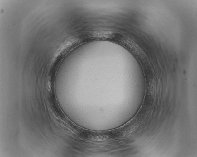 X0000088400731200706121234