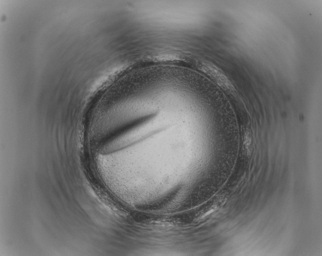 X0000088400732200706121234