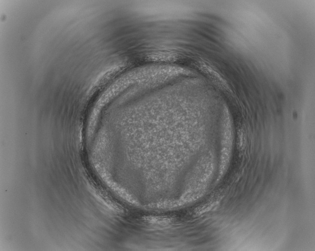 X0000088400733200706121234