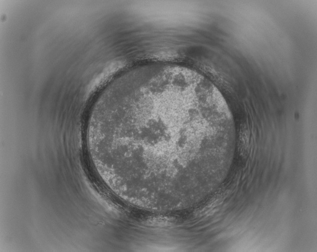 X0000088400734200706121234