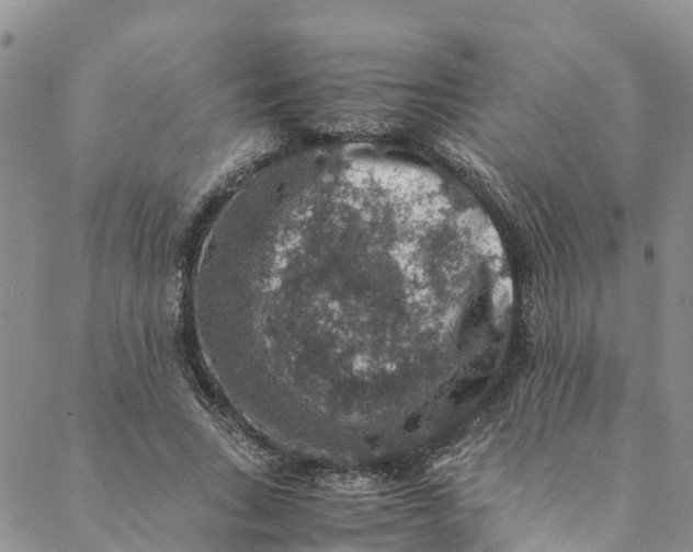 X0000088400735200706121234