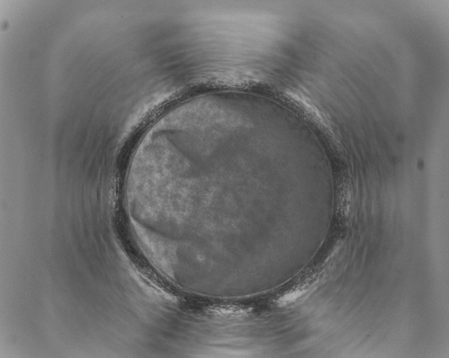 X0000088400736200706121234