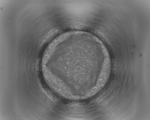 X0000088400738200706121234