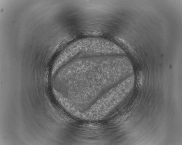 X0000088400739200706121234