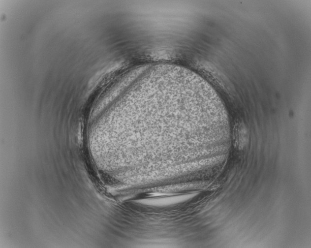 X0000088400740200706121234