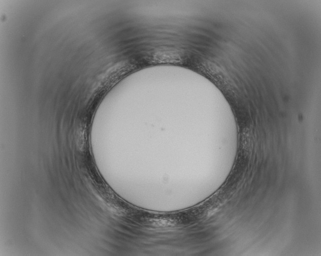 X0000088400741200706121234