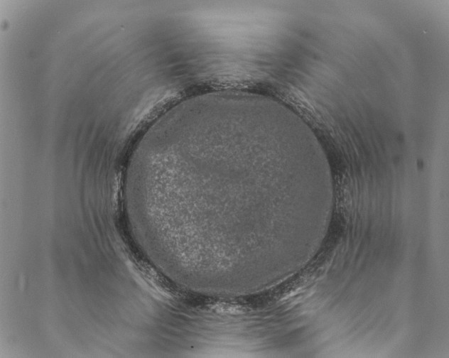 X0000088400742200706121234