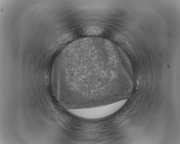 X0000088400743200706121234