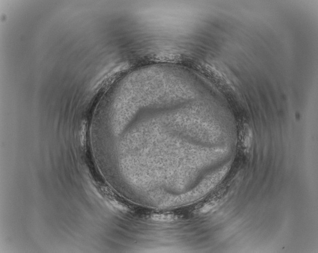 X0000088400744200706121234