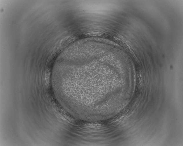 X0000088400745200706121234