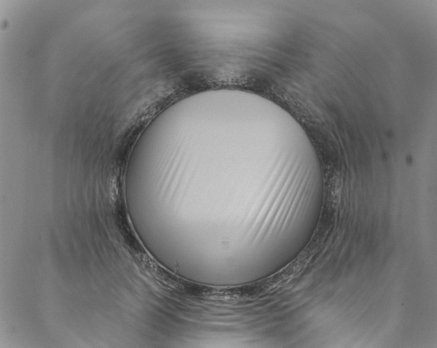 X0000088400746200706121234