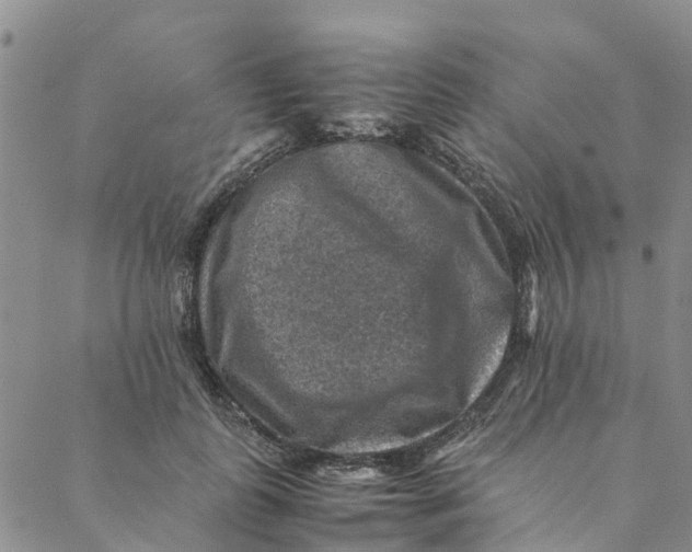 X0000088400747200706121234