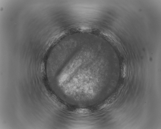 X0000088400748200706121234