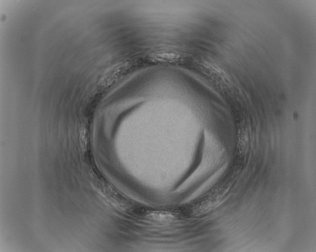 X0000088400749200706121234