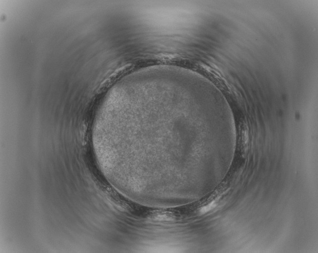 X0000088400750200706121234