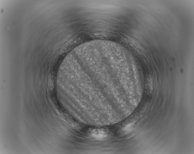 X0000088400751200706121234