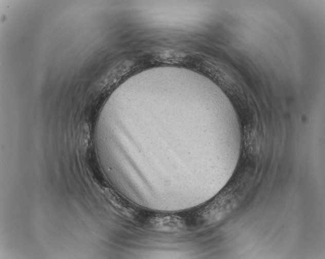 X0000088400752200706121234